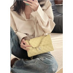 CHANEL 255 23cm