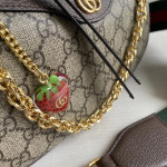 Gucci 新款 印花面料拼牛皮 草莓 链条腋下包 宽肩带斜挎包单肩包女包 21＊19