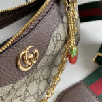 Gucci 新款 印花面料拼牛皮 草莓 链条腋下包 宽肩带斜挎包单肩包女包 21＊19