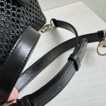 Top-tier Dior Lady Woven Bag with Drawstring Inner Pocket, Lady Woven Butterfly Knot Bag, Handbag, Crossbody Shoulder Bag