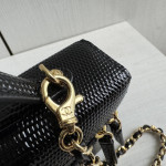 Chanel Top-level 26a lizard-print cowhide handheld makeup bag, LP style, with both interior and exterior genuine leather, rice box bag, chain messenger bag, 19cm