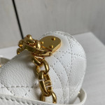 Dior Cargo Vintage Chain Crossbody Shoulder Bag, Small 20cm, Large 25cm, CD Montaigne, Vintage, Chain Crossbody Shoulder Bag, Small 20cm, Large 25cm