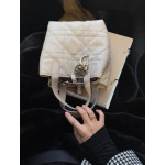 New Dior Lady 95.22 toujours series, vertical style, Teng pattern imported cowhide, vegetable basket bag, shopping bag, handbag, shoulder bag, cross-body bag, 16*18*12