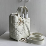 New Dior Lady 95.22 toujours series, vertical style, Teng pattern imported cowhide, vegetable basket bag, shopping bag, handbag, shoulder bag, cross-body bag, 16*18*12