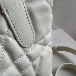 New Dior Lady 95.22 toujours series, vertical style, Teng pattern imported cowhide, vegetable basket bag, shopping bag, handbag, shoulder bag, cross-body bag, 16*18*12
