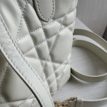 New Dior Lady 95.22 toujours series, vertical style, Teng pattern imported cowhide, vegetable basket bag, shopping bag, handbag, shoulder bag, cross-body bag, 16*18*12