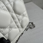 Top-tier Dior lambskin quilted woc bow bowknot bag chain cross-body messenger bag phone bag 22*11