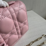 Top-tier Dior lambskin quilted woc bow bowknot bag chain cross-body messenger bag phone bag 22*11
